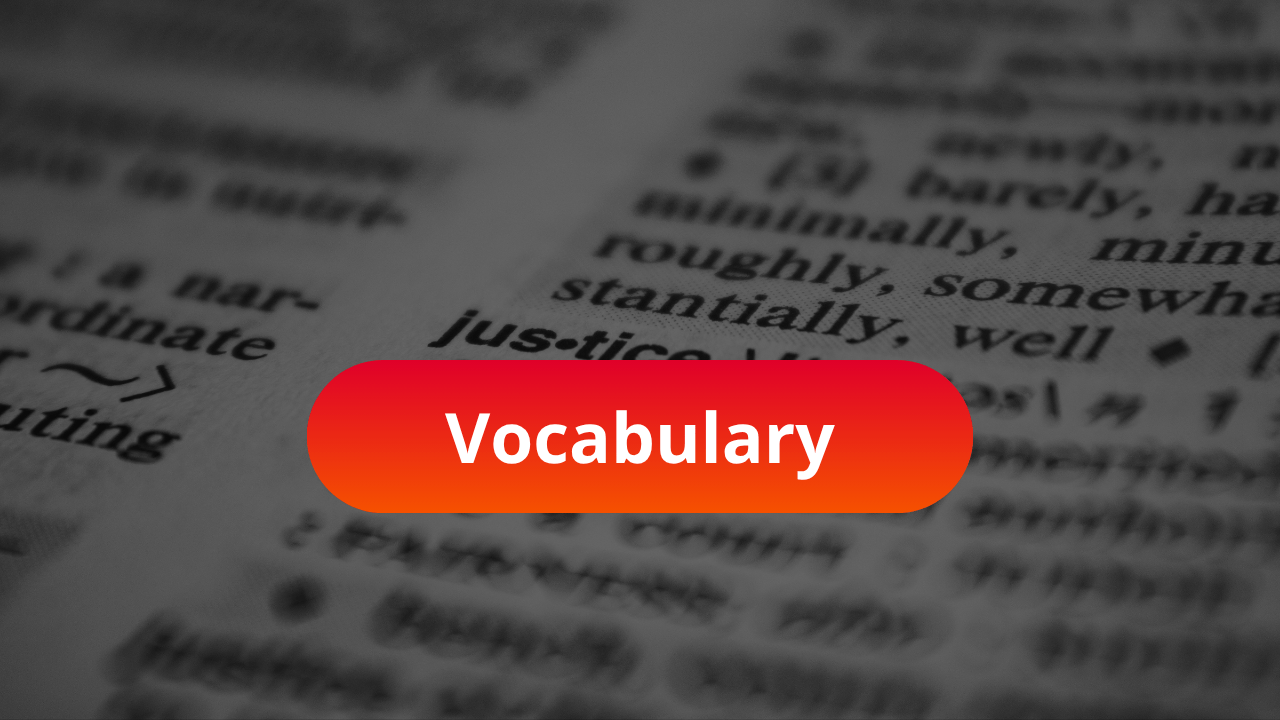 Vocabulary